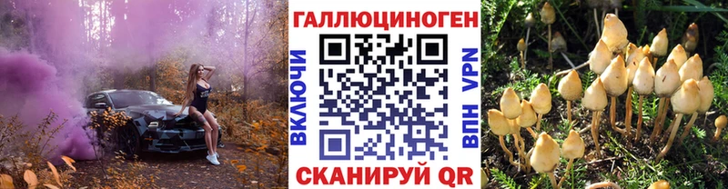 Псилоцибиновые грибы мицелий  где найти   Мончегорск 